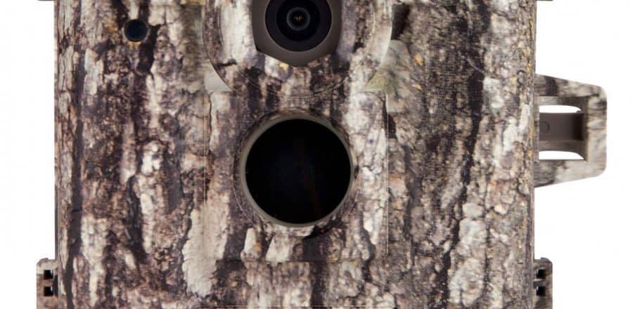 Moultrie D-555i Trail Camera Review