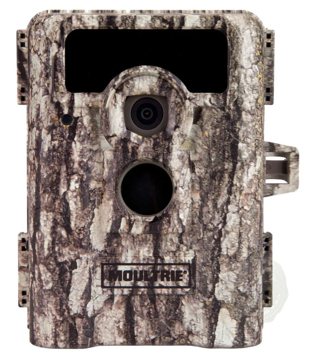 Moultrie D-555i Trail Camera Review