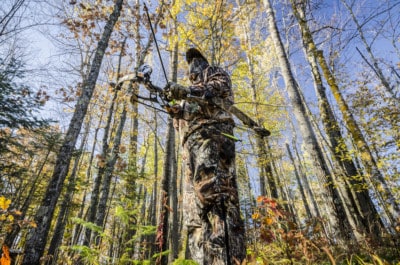 Bow hunting tips: learning the basics