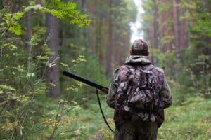 deer hunting tips- scouting for deer