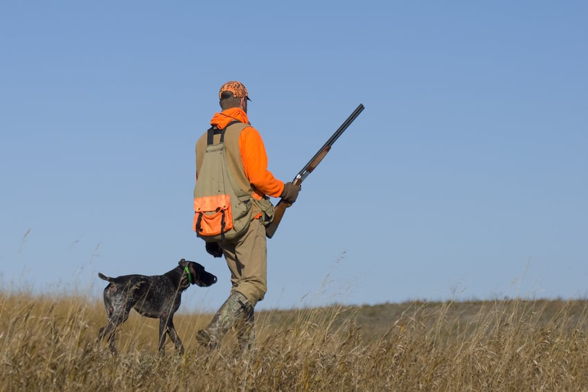 a hunter out hunting doves with dog