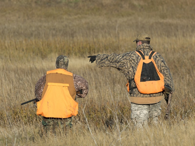 most-popular-list-of-upland-bird-to-hunt-trail-camera-expert