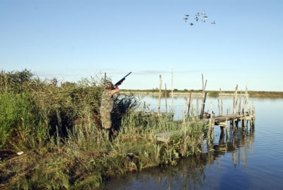 A list of waterfowl to consider for your next hunt!