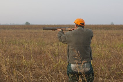Hunter aims double barreled shotgun
