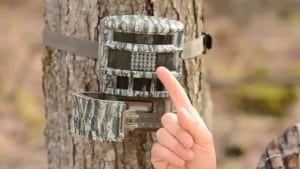 Moultrie Panoramic 150 trail camera Review