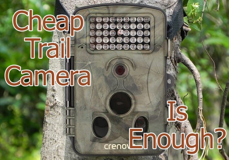 cheap trail cameras that work