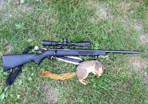 Squirrel Hunting Tips Gun