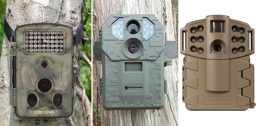 Best Cheap Trail Cameras – Reviews and Comparison in 2018