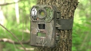 trail camera for hunting deer