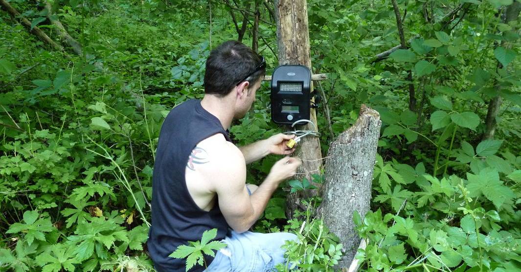 10 trail camera tips for better results