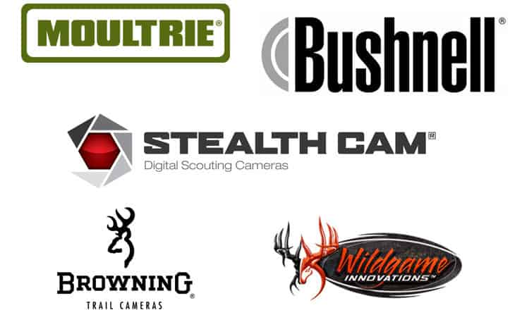 Best Trail Camera Brands – Reviews and Comparison