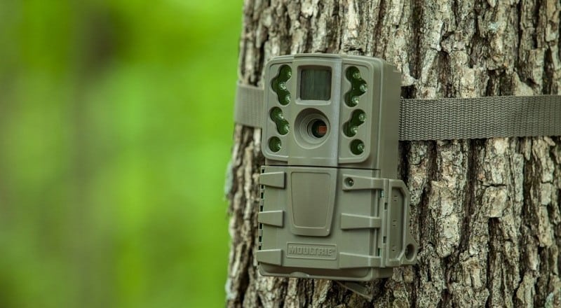 Moultrie A-20 Mini Game Camera Review