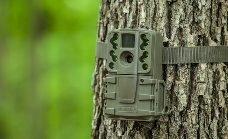 Moultrie A-20 Mini Game Camera Review - Trail Camera Expert