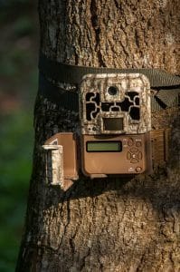 position your trail camera in a good spot